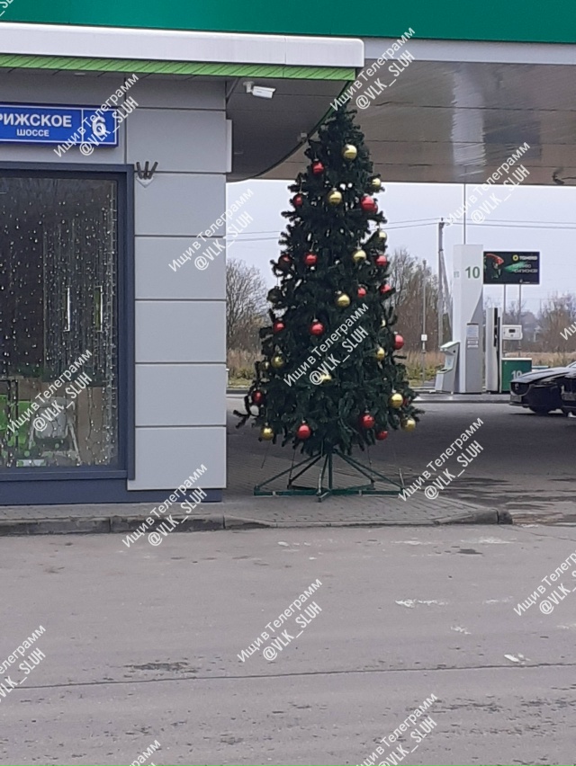 С деревьев листья еще не опали, но уже новогодние елки ?...