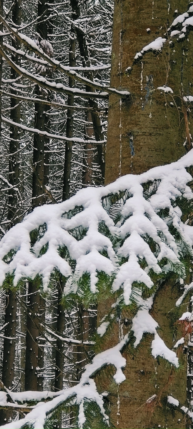 Доброго утра, Никольск❤
