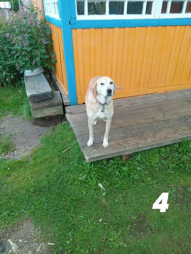 Потеряшки/находки:
1) Найден телефон в районе старого в...