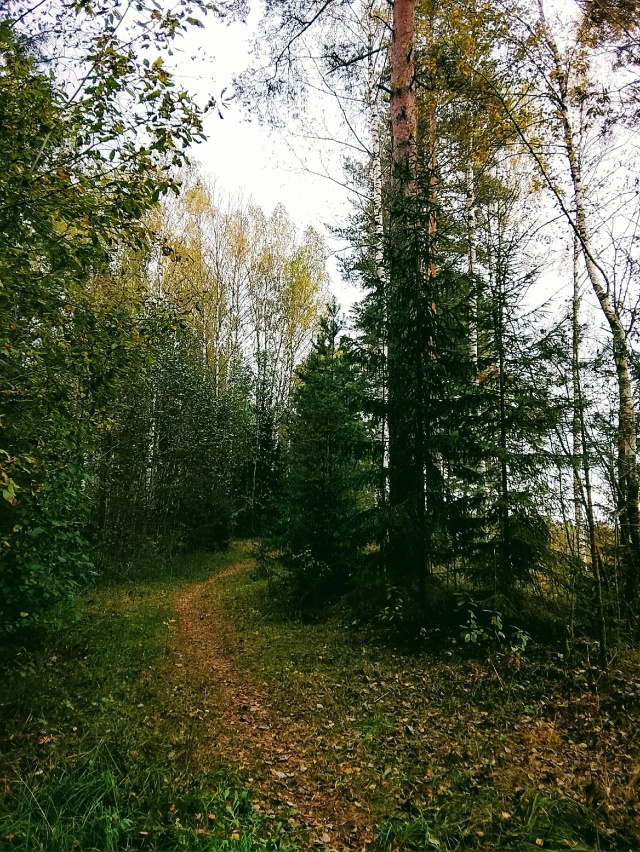 Доброго утра, Никольск❤