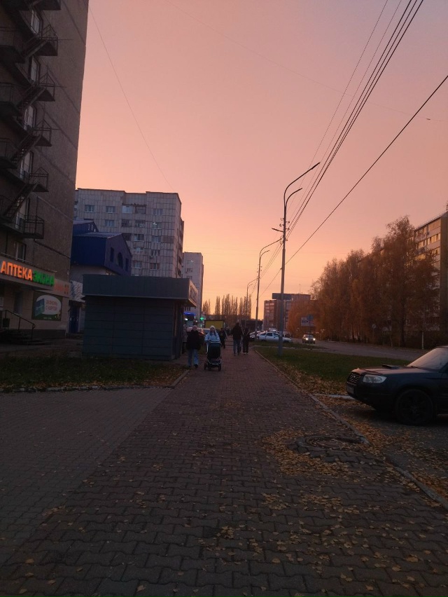 Всем спокойной ночи 😴🌙