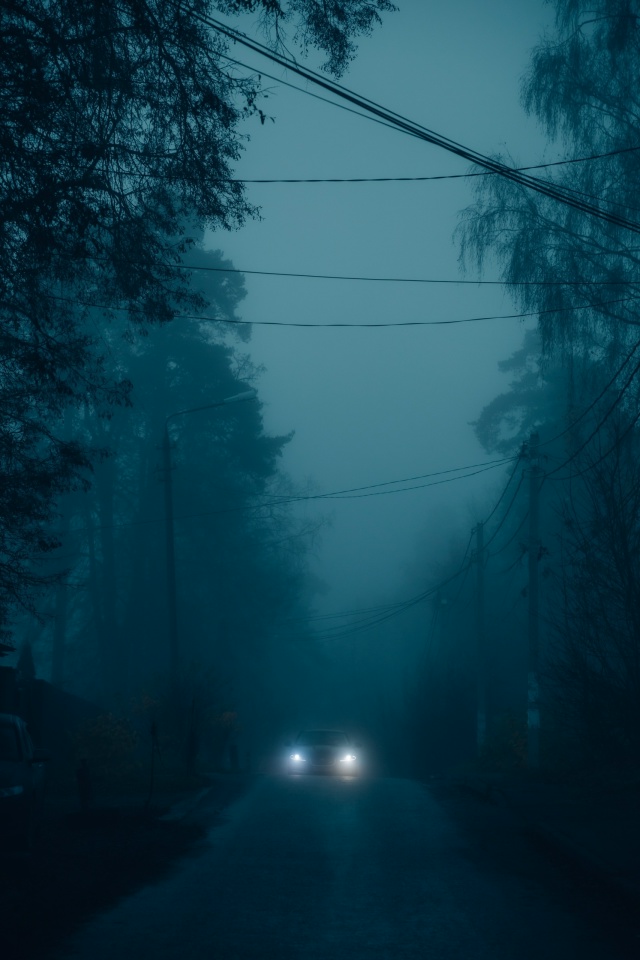 Ноябрьский туман на станции🖤