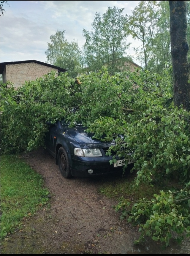 Доброе утро! Вот такое утро в Острове - 2