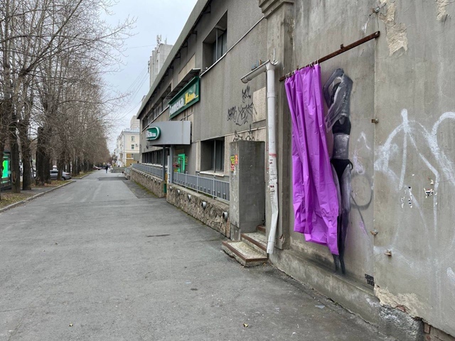 Арт с изображением примерочной Wildberries появился в Екате...