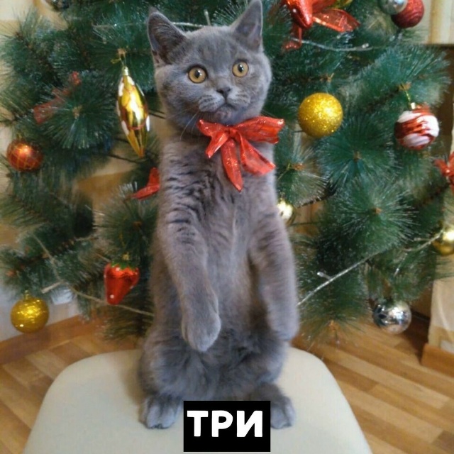 Скоро во всех квартирах страны ? ? ?