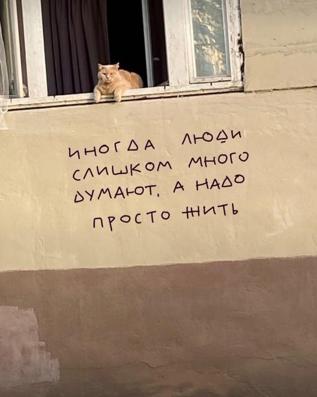 Стена фигни не скажет.