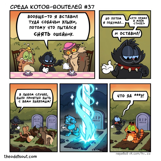 Просыпайся! Среда Котов-Воителей! 🐾✨ © TheOdd1sOut #KV_ZZ_Ко...