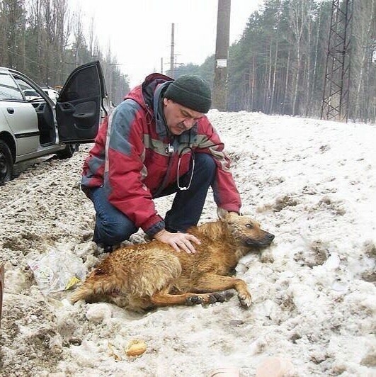 Уважаемые Вельчане, прoсьба относится ко всем автовлад...