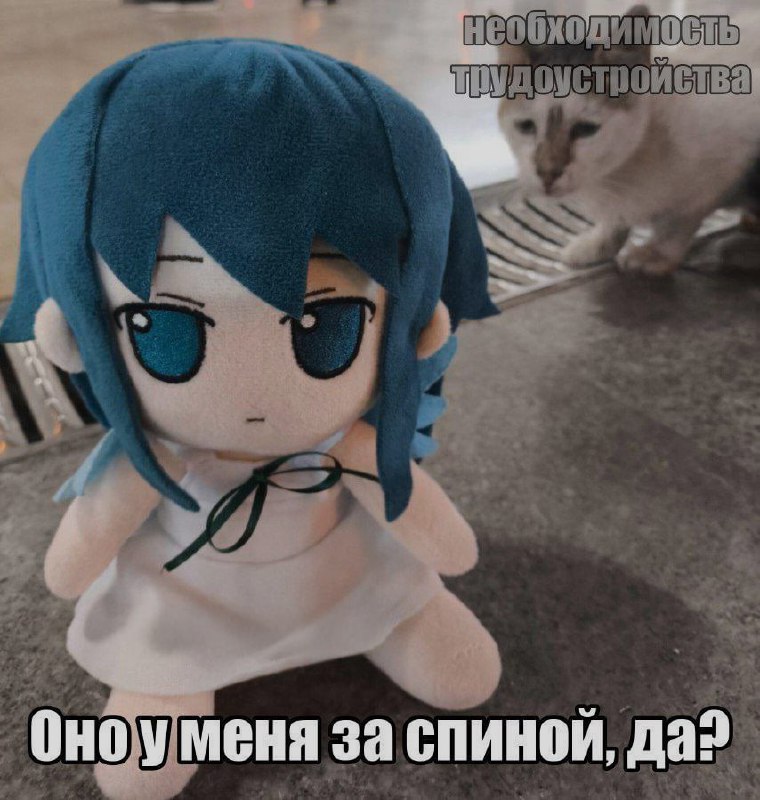 Ночная подборочка
Спать, режим