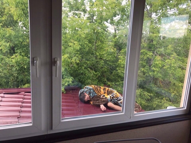 Малыш ждёт Карлсона, но так и не дождётся