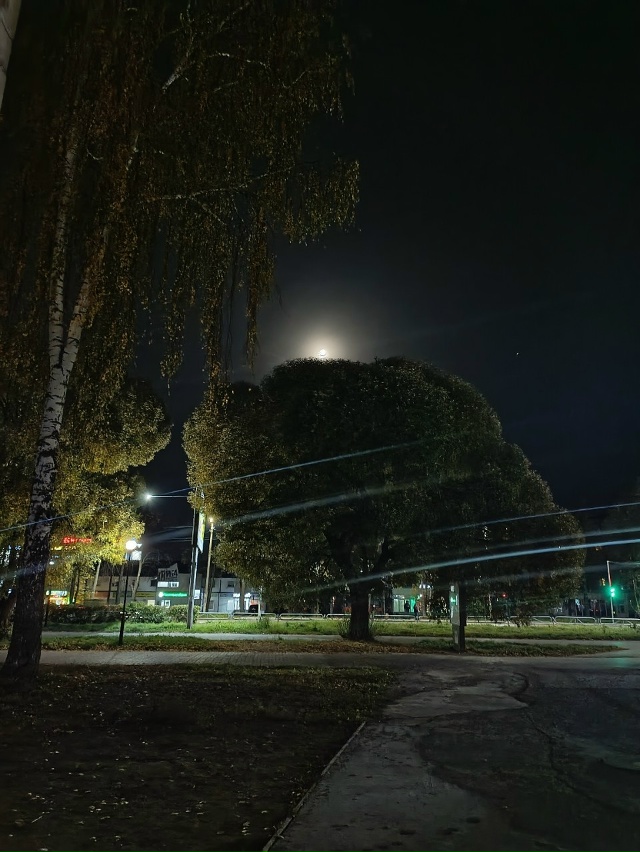 Спокойной ночи 🌙
Фото: Марина Коновалова