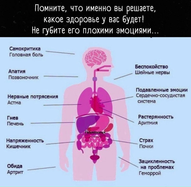 Только позитивные эмоции!
Вот, что надо нашему организ...