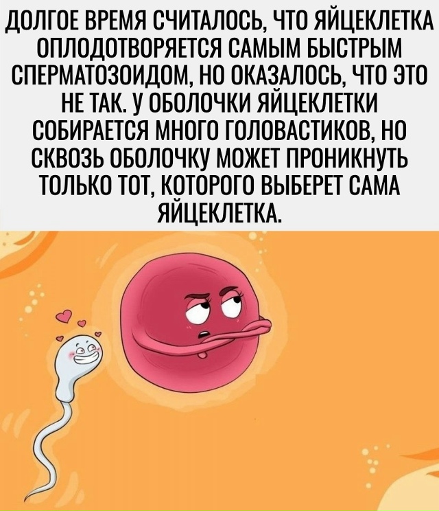 Рекомендации на день 👉 max.ru/pavelshapranov