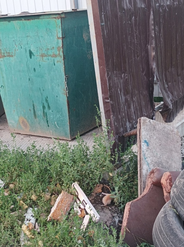 Какие то нелюди выбросили котенка на мусорку около кад...