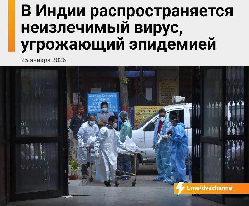 ⚡️От смертельного вируса Нипах уже погиб один человек: пациентка, предположительно, скончалась в сос