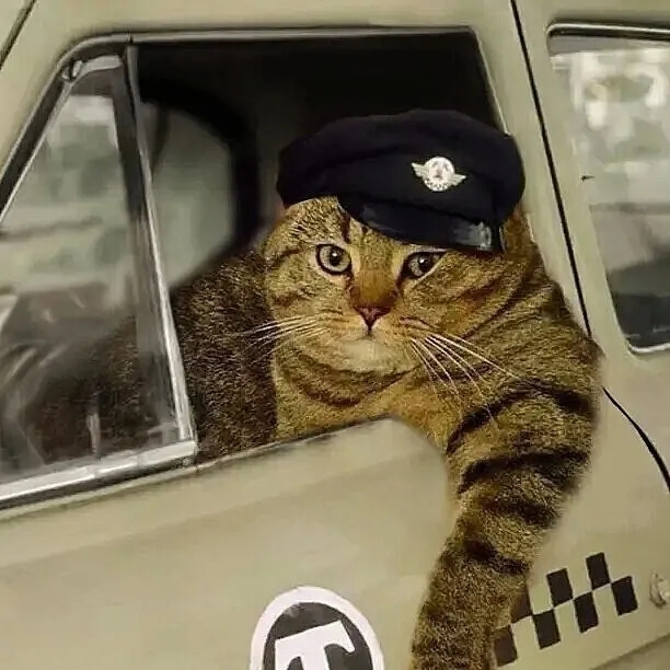 Полосатый рейс.