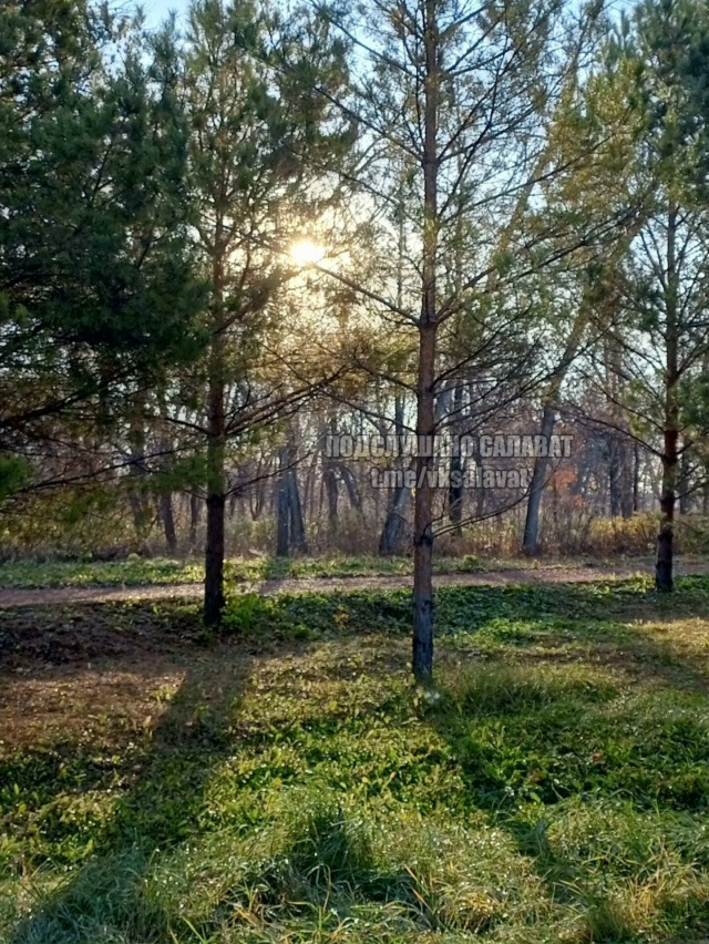 Тёплый осенний день в Салавате ☀