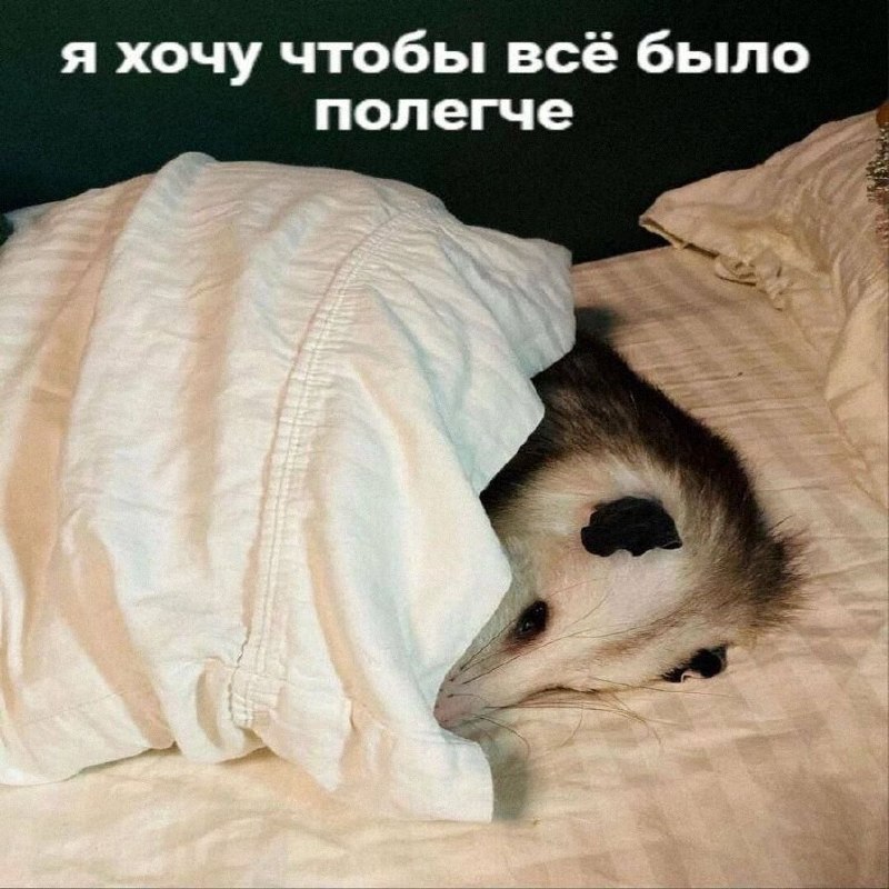Утренняя подборочка