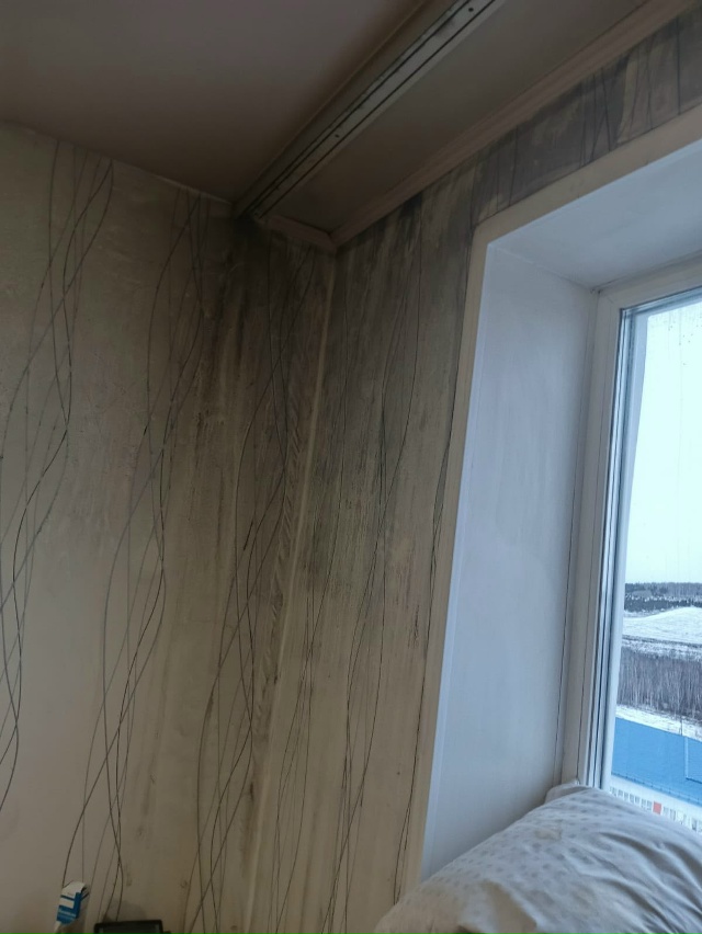 Дорогие друзья и просто неравнодушные люди, искренне п...