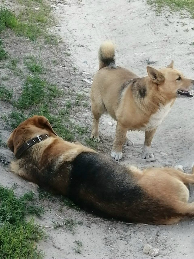 Помогаю информационно!
Нижегородская область. ?????...