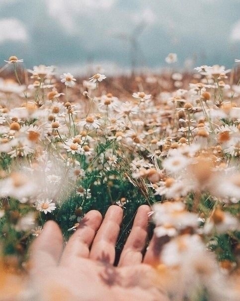 «лучшие дни ещё впереди»