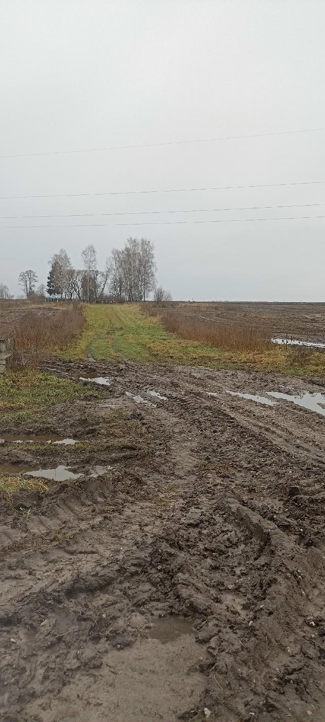 В Трубчевском районе возле деревни Ломакино была отре?...