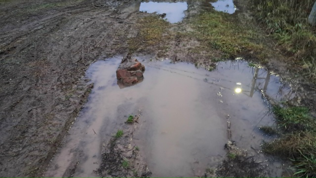 Пожалуйста Анон.
Дорога по улице Лизы Чайкиной, между ?...