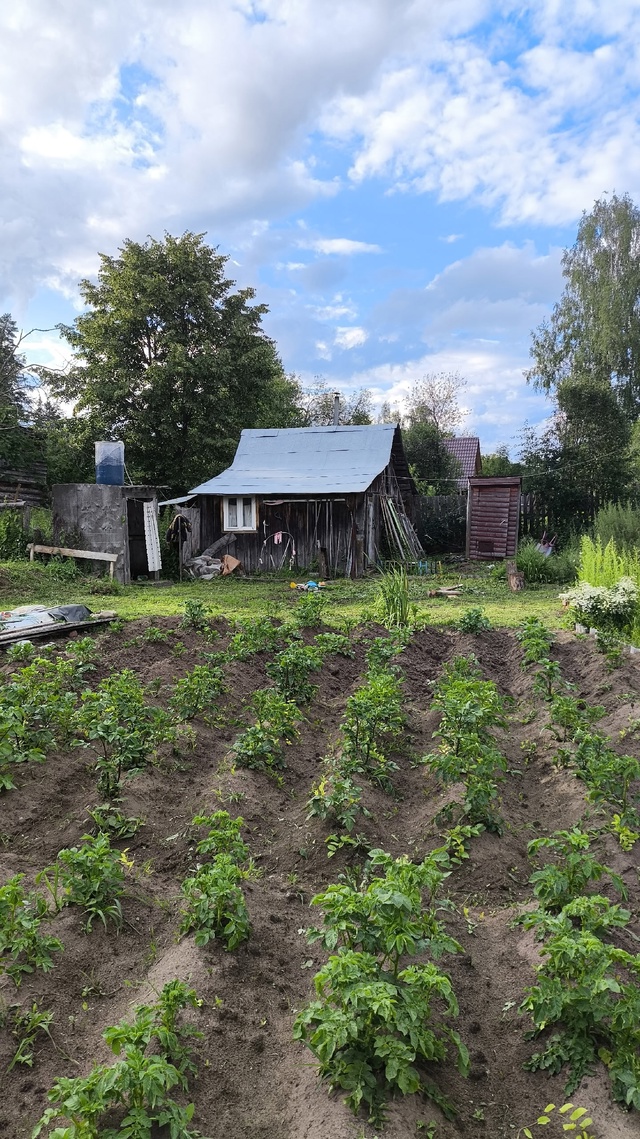 Продажа бревенчатого дома с пристроем р.п Новоильинки?...