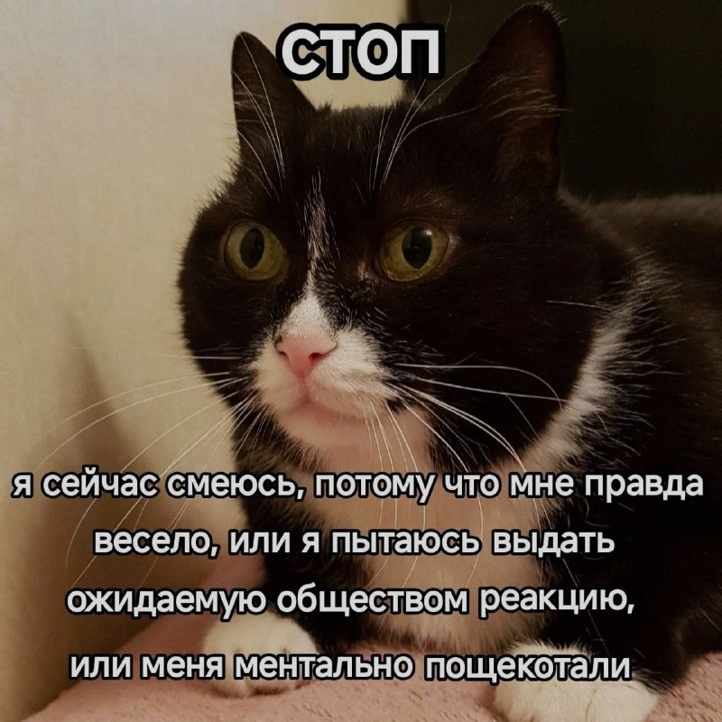 Ночная подборочка
Спать, режим