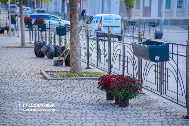 🌸Центр Евпатории украсят хризантемы
Сотрудники МБУ ?...