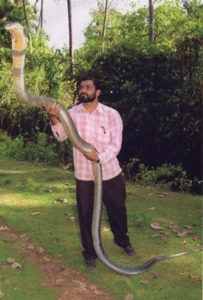 Несуществующая группа крови.
Несуществующая группа кр...