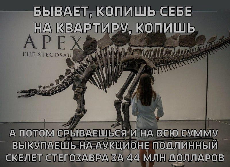 Ночная подборочка
Выходные, не спим