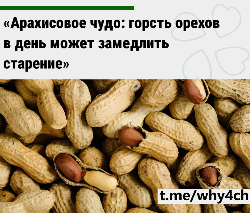 ❗️Старение — ВСЁ.
Кушаем арахис