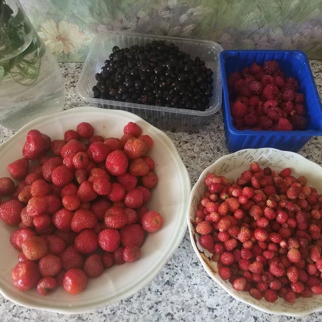Вот такой урожай: клубничка, земляника, смородинка, мал...