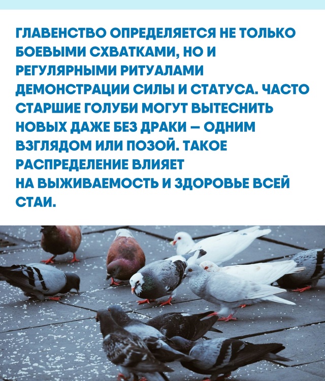 Почему люди не всегда замечают 