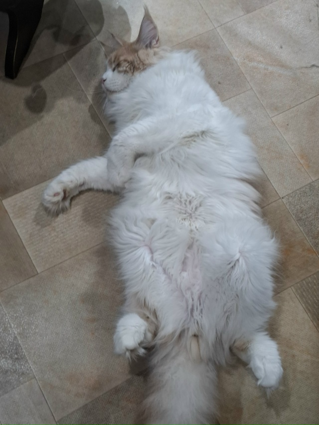 Барины отдыхают)))🤣