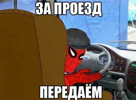 🤬🚌 Три подорожания за три года: как в Перми будут рас?...