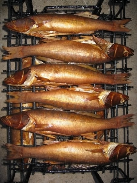 🐟🐠🐟🐠🐟🐠
Принимаются заказы на СВЕЖУЮ И КОПЧЁННУЮ...