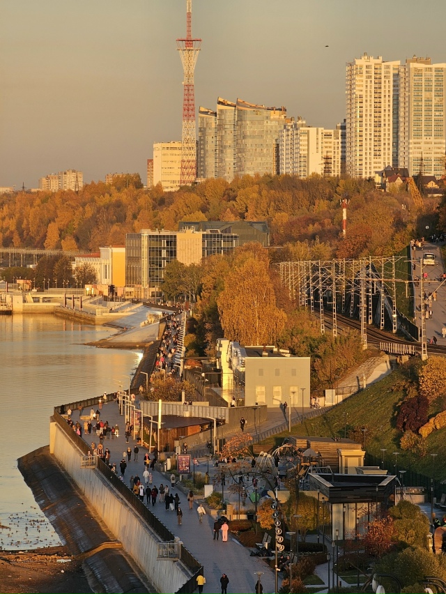 Последние лучи золотой осени ?