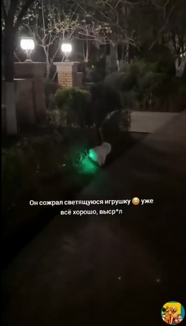 Включил задний поворотник просто...