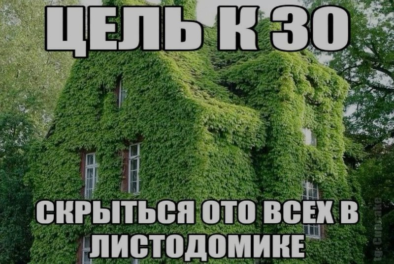 Ночная подборочка
Спать, режим