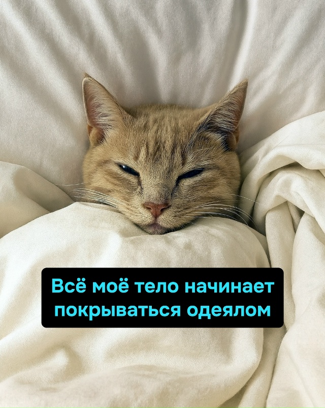 Осень — это когда у тебя нет депрессии, но она всё равн?...