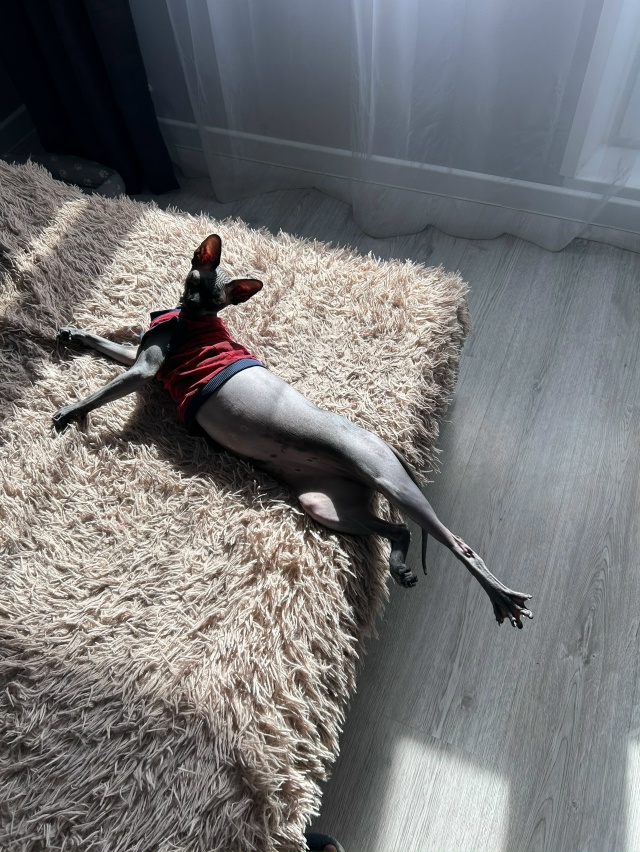 Немножко доволен, немножко не доволен🤣