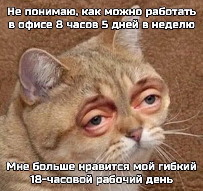Сегодня отмечают День Фрилансера. Поздравьте того самого друга, который променял душный офис на «сво
