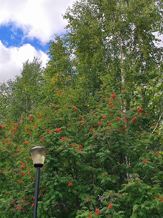 Признаки приближающейся осени 🍁🍂