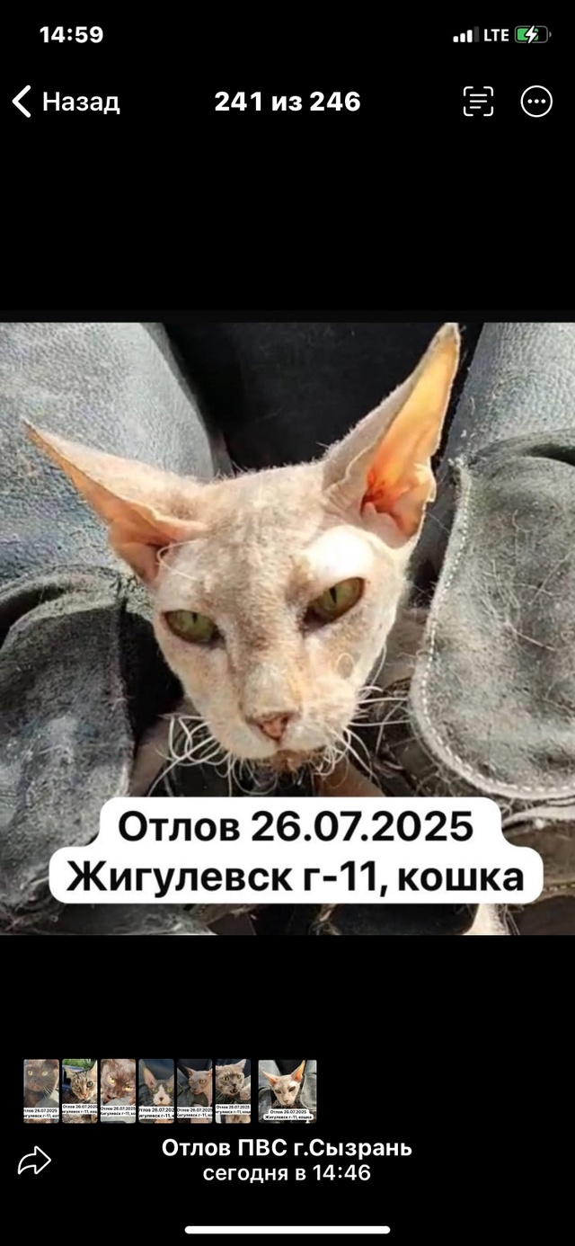 Город Жигулевск! Ваши любимчики в страшном месте- в отл...