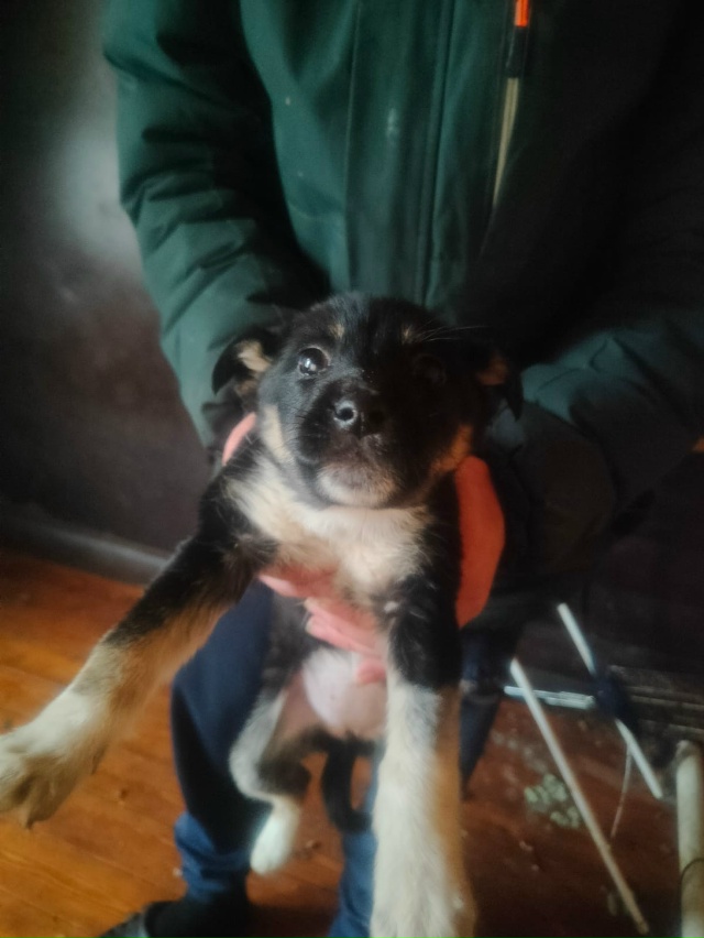 Пост шанс 🤞🏼‼️
Благодаря предыдущему посту пристро...