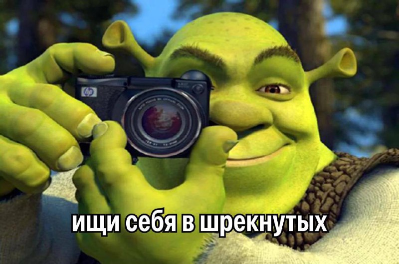 В отношениях появился новый тренд-термин — шрекинг. Это когда человек выбирает себе партнёра похуже