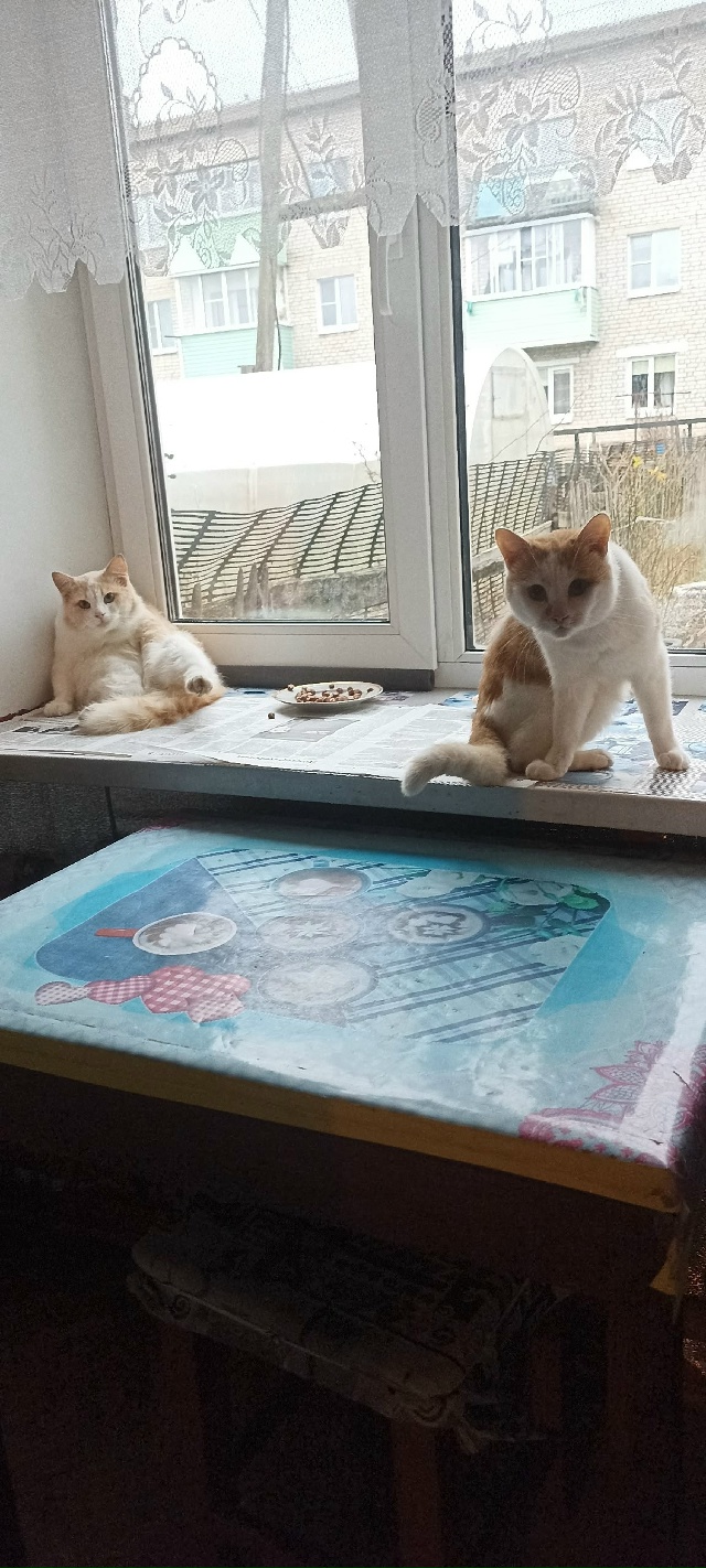 Персик и Пэри