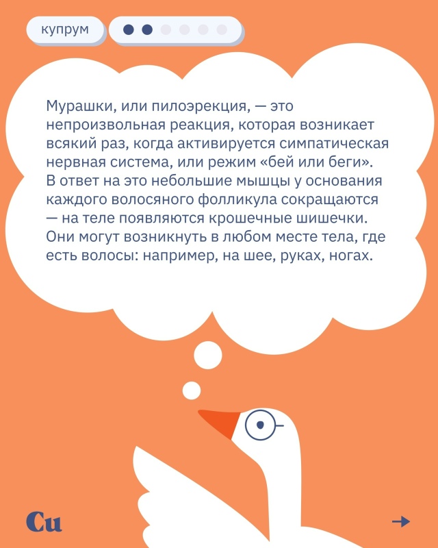 🪿Мурашки пробегали у многих из нас — от музыки, кино, ?...